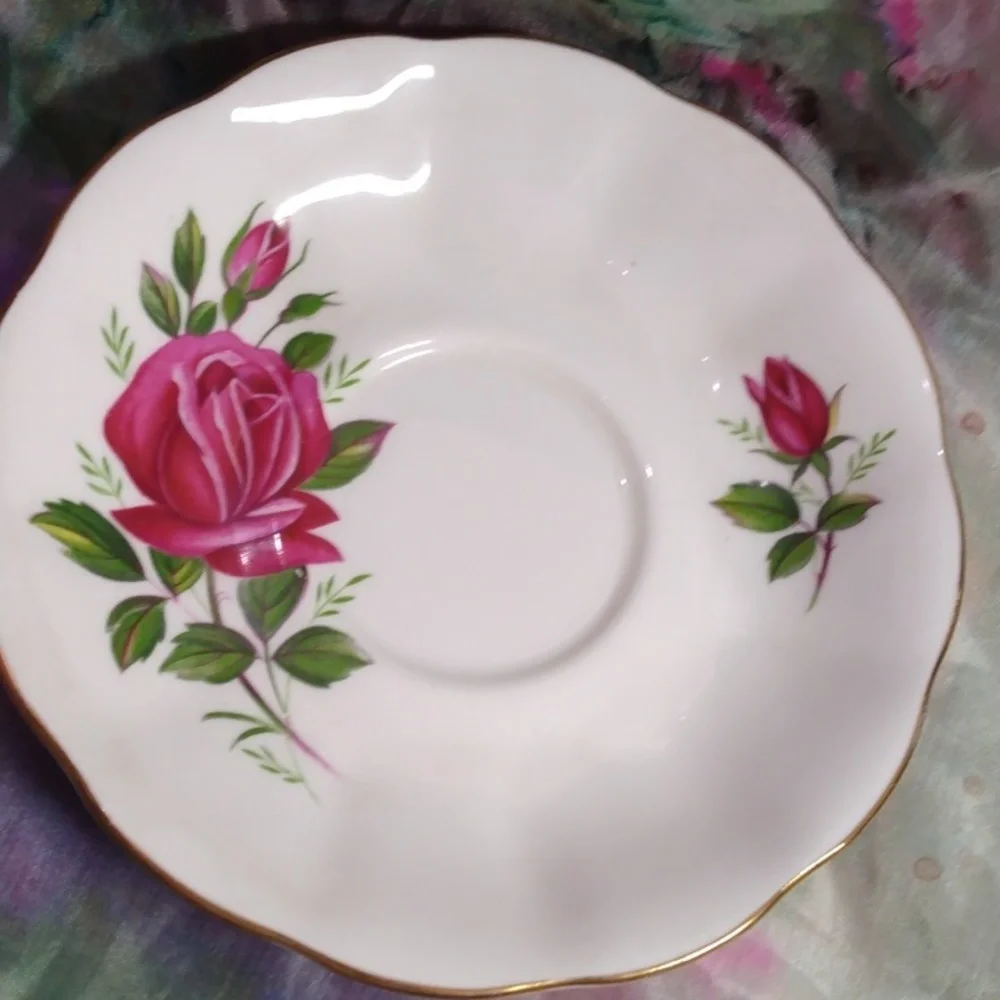 Vintage Royal Albert Roses China Tea Cup and Saucer